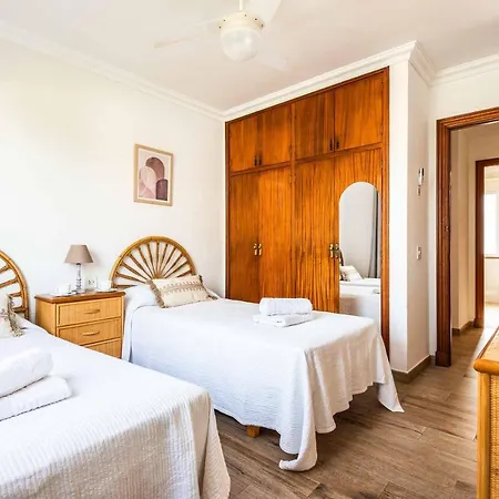 فيلة Pepita بينيبيكا